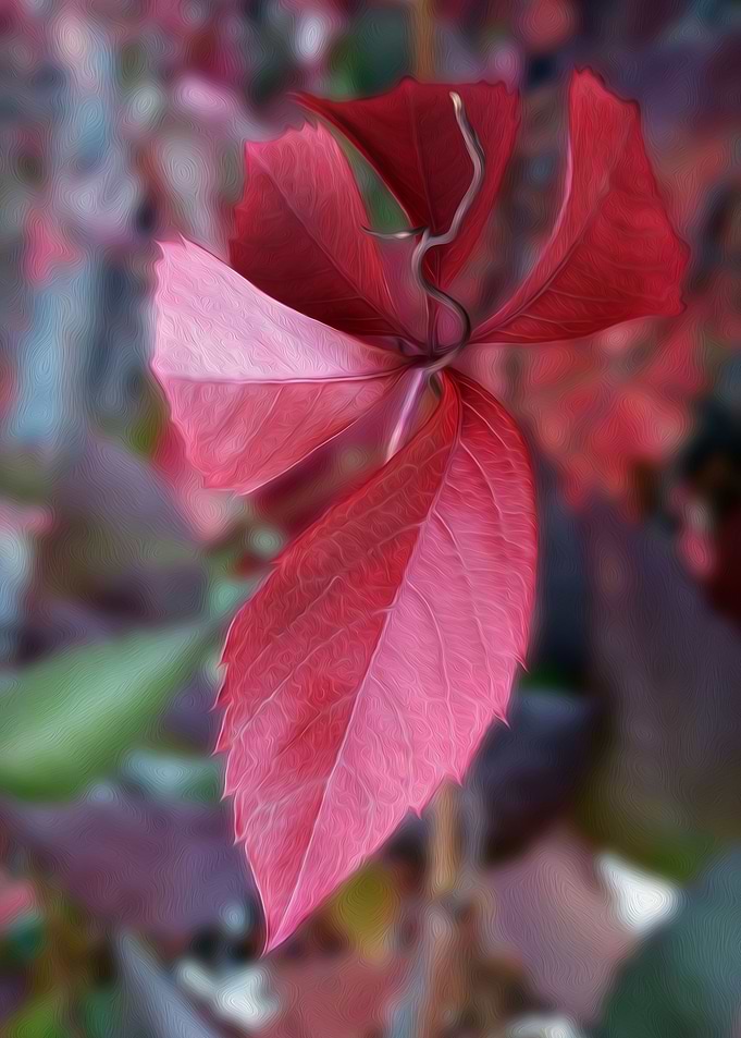 Red of autumn