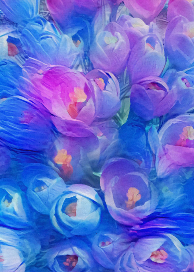 Crocus 2