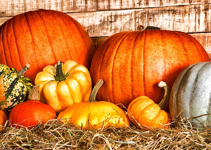 Pumpkins