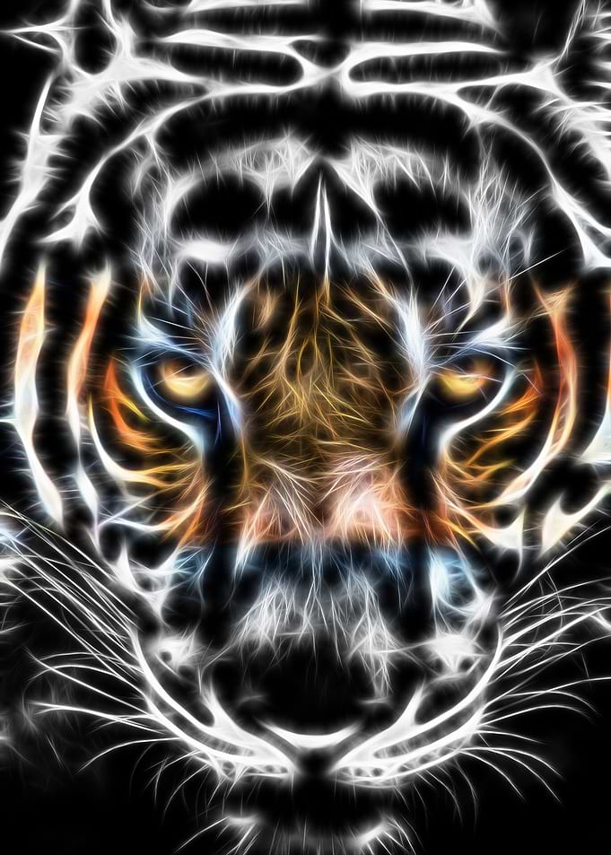 Tiger - modern