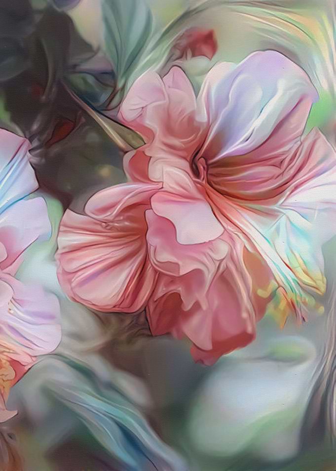 Hibiscus