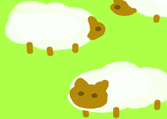 sheeps