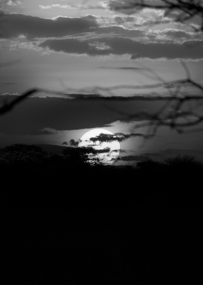 African Sunset