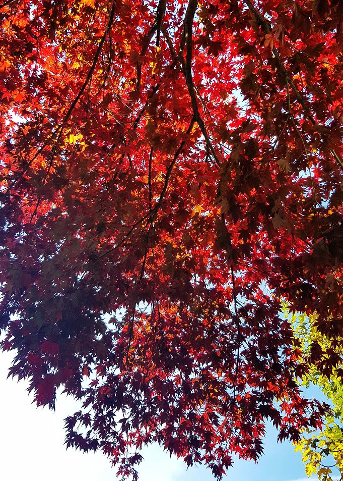 october season