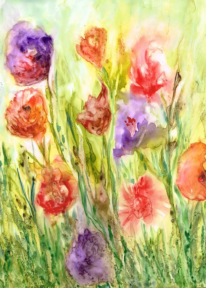 Summer Flowers