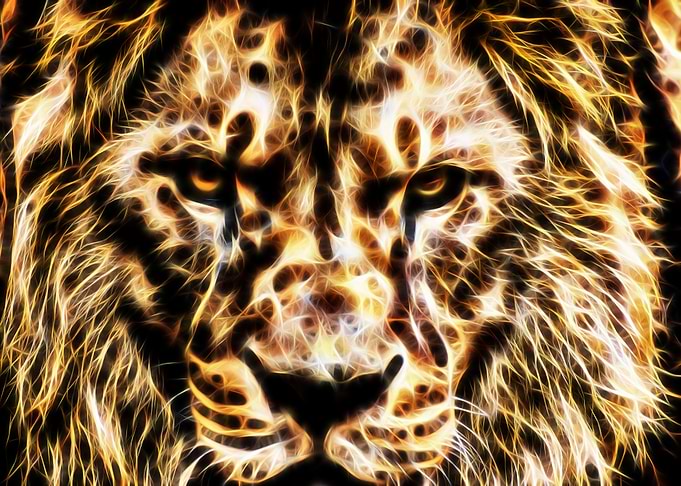 Lion - modern 3