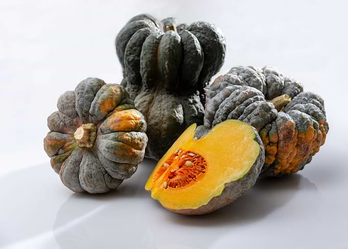 cut pumpkin