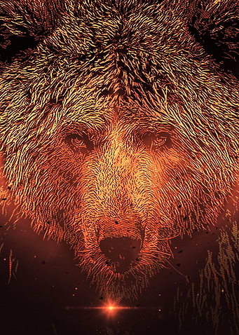 grizzly bear