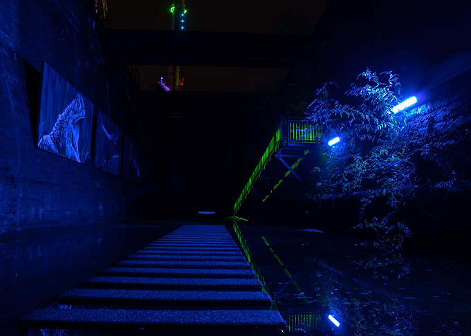 The Blue Room