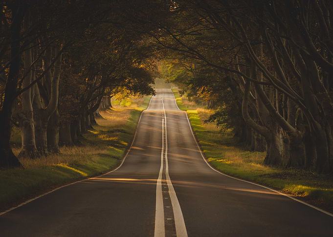 Road to Autumn
