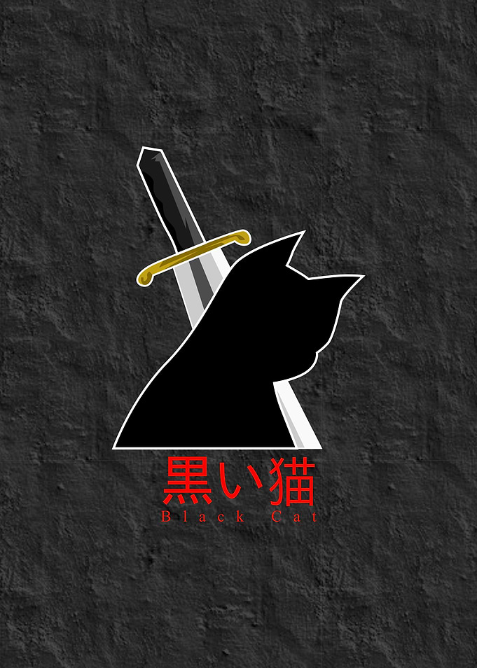 Knights Black Cat