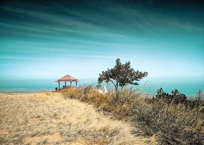 Teal and brown