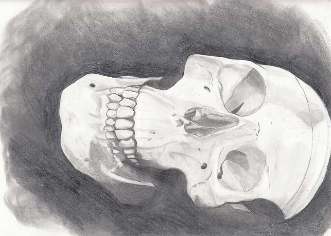 Skull