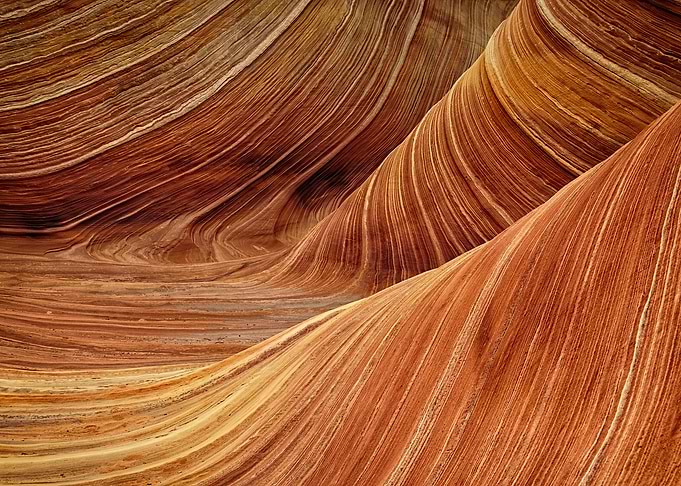 The Wave