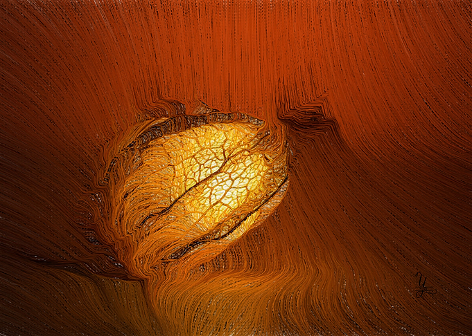 Embryo