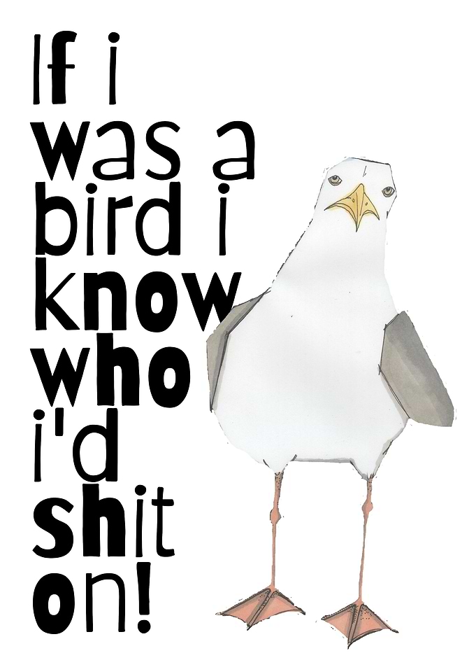 If I Was a Bird