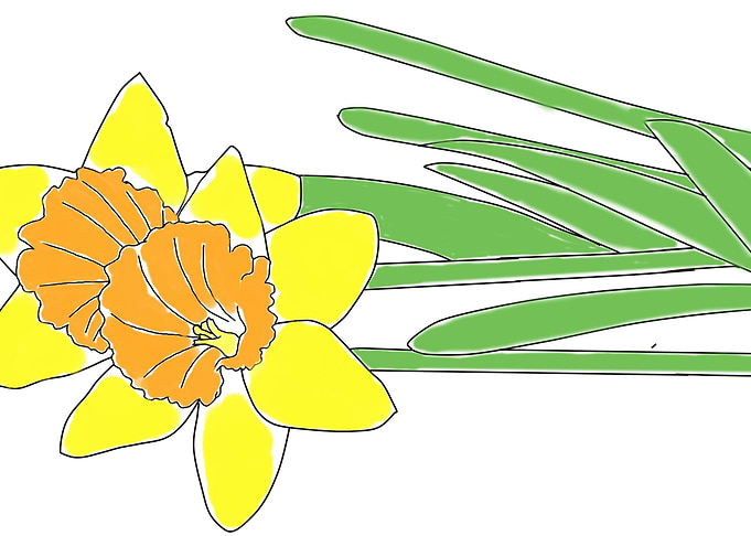 yellow flower