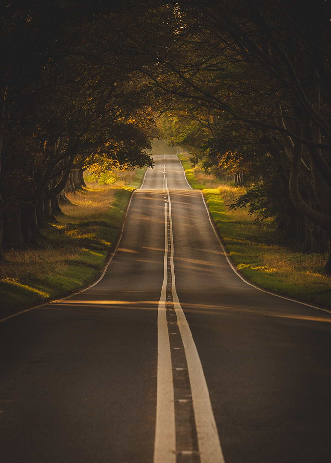 Road to Autumn