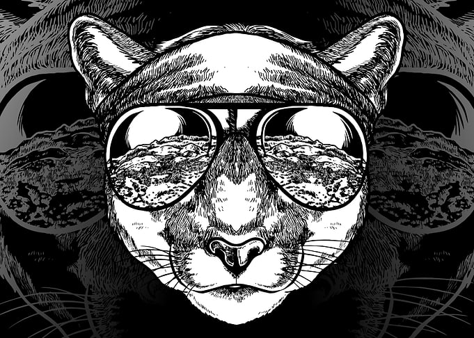 The Hippie Cougar