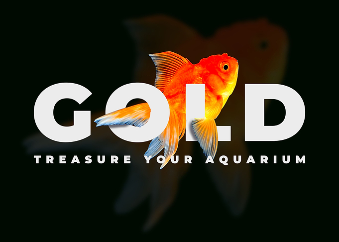 Goldfish Keeper Print