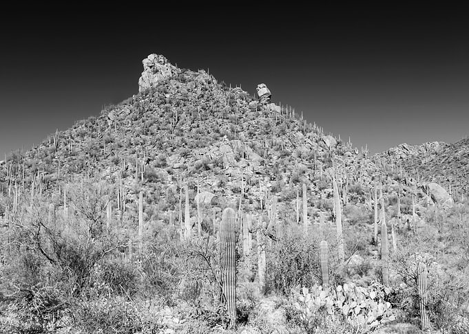 ARIZONA Desert Scenery