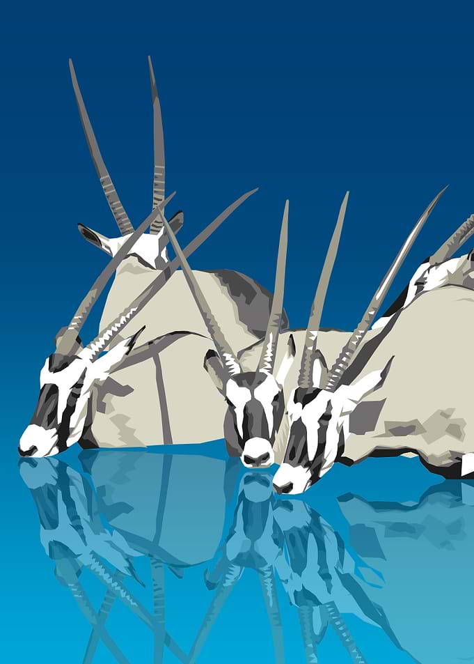 Oryx