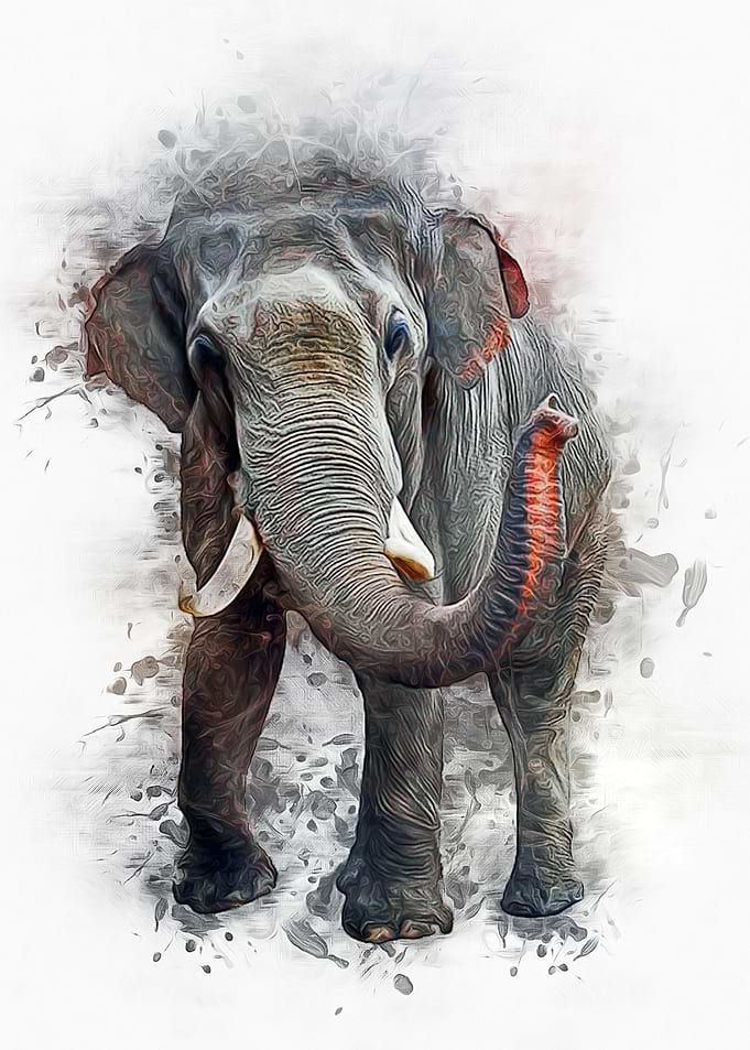 Elephant Art