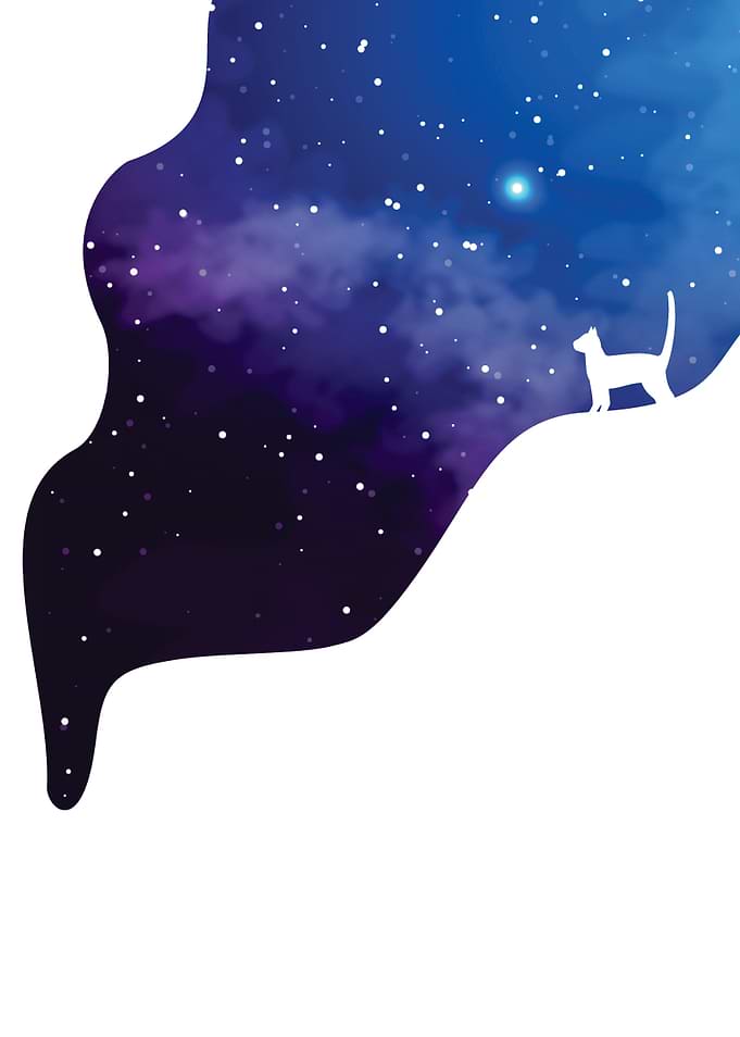 Space for my cat