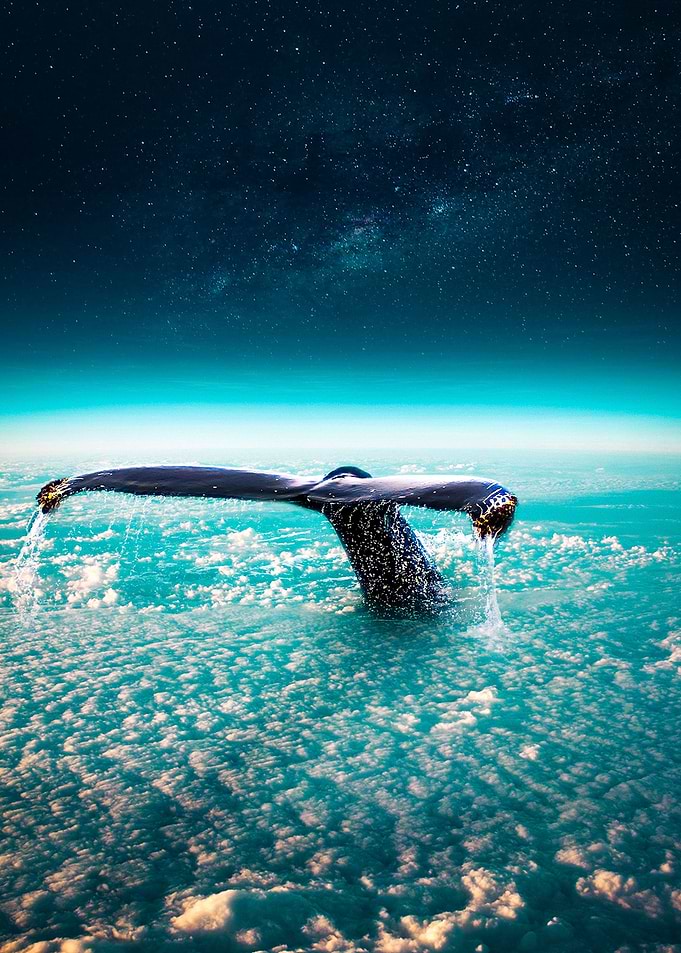 Galaxsea
