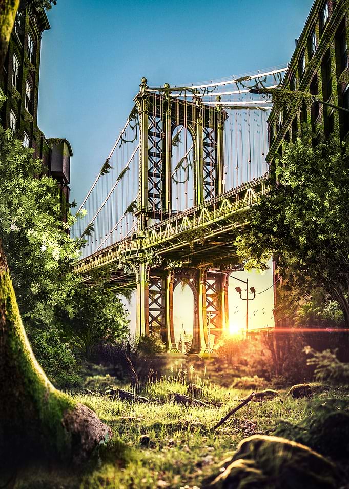 Overgrown City