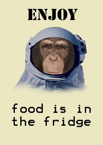 monkey
