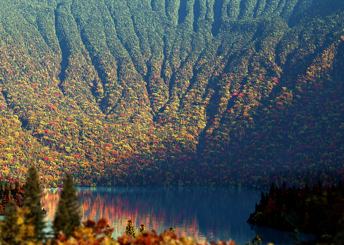 Autumn Cove