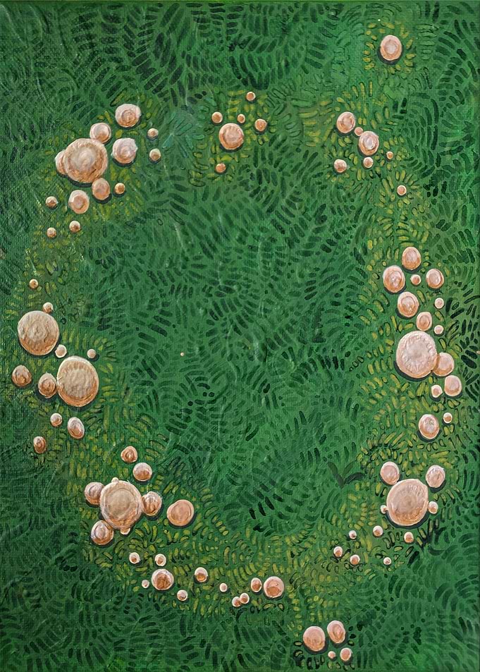 P Petasatus Fairy Ring