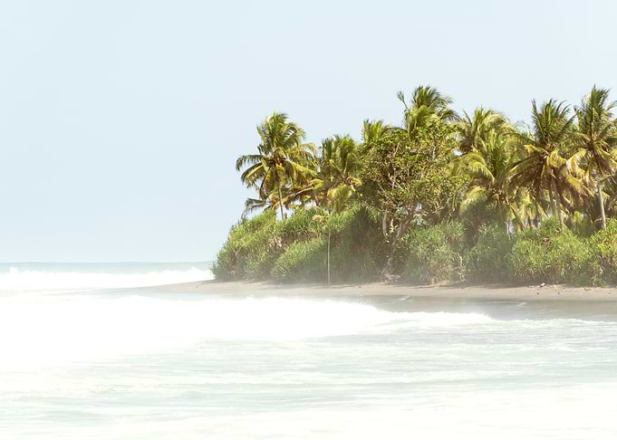Tropical paradise