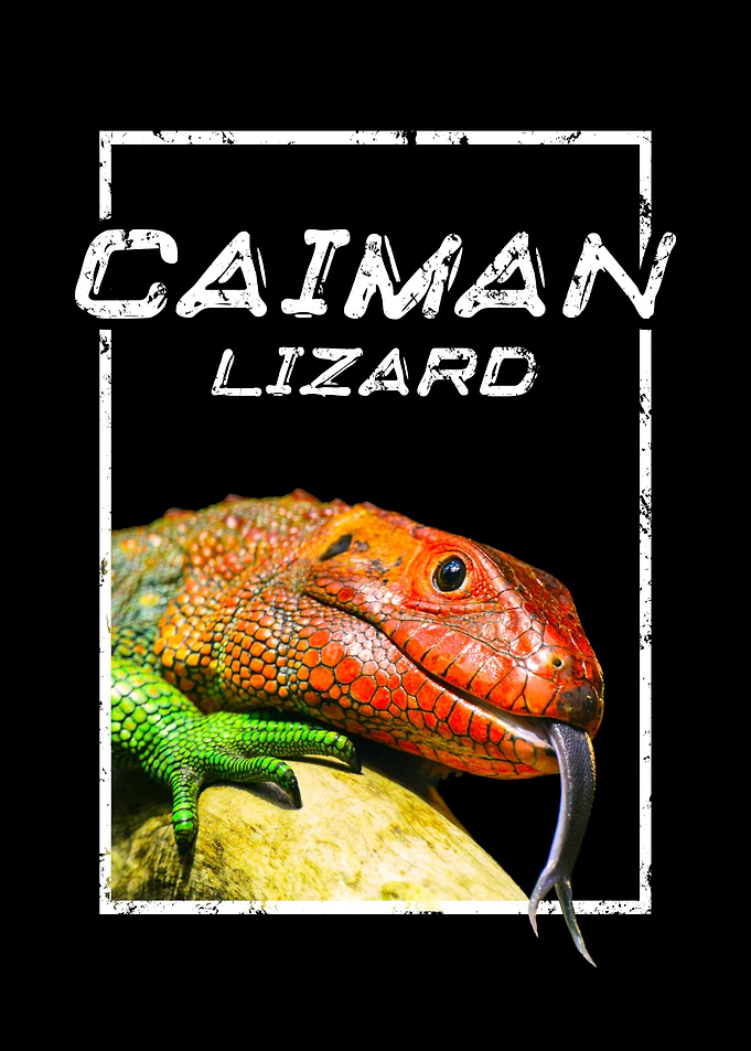 Caiman Lizard Art Print