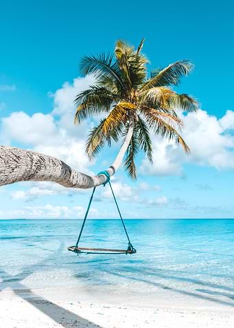 Swing in Paradise