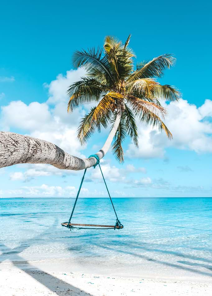 Swing in Paradise