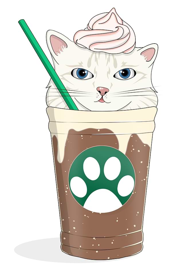 Kittybucks