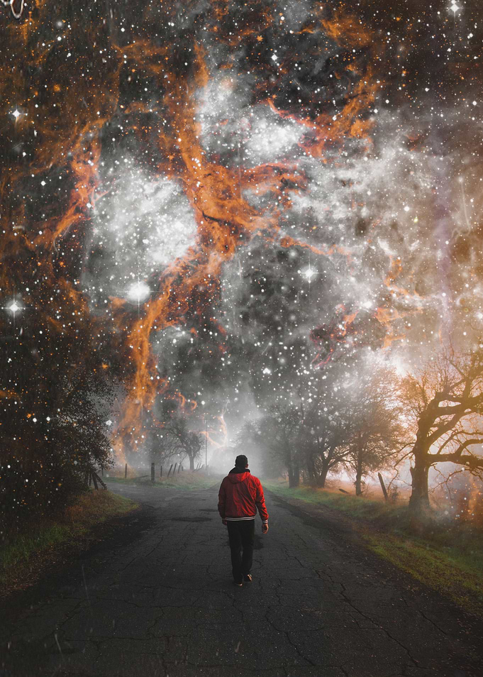 night walk