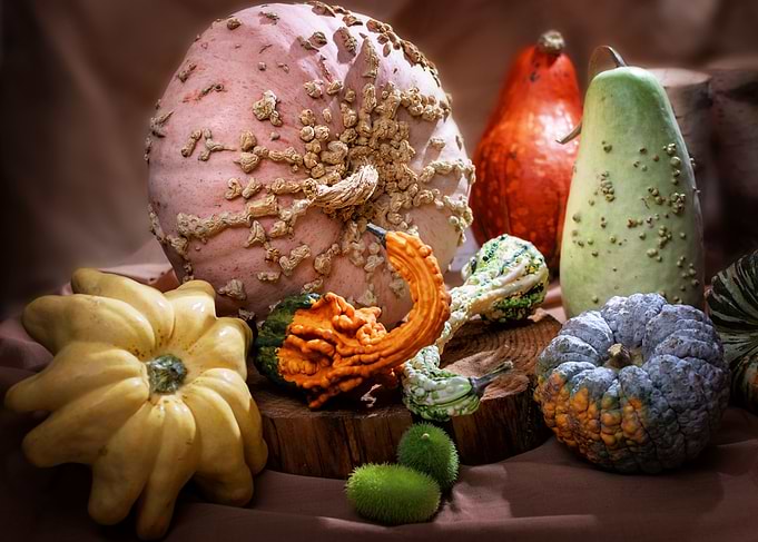 pumpkins stilllife