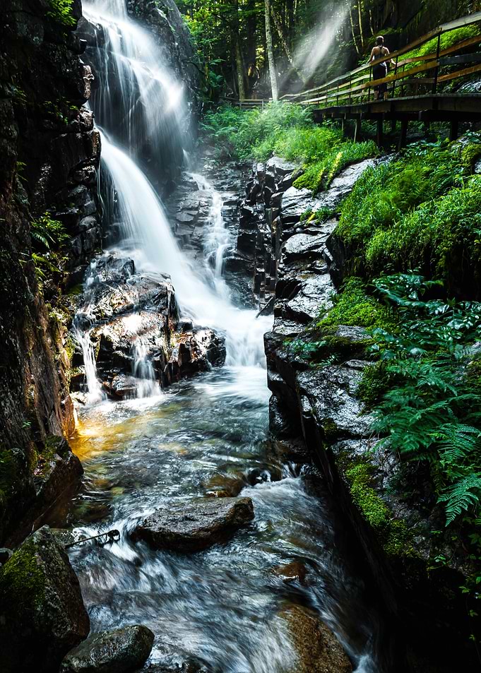 Waterfall Oasis
