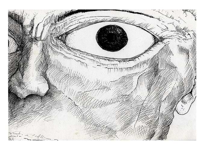 The eye