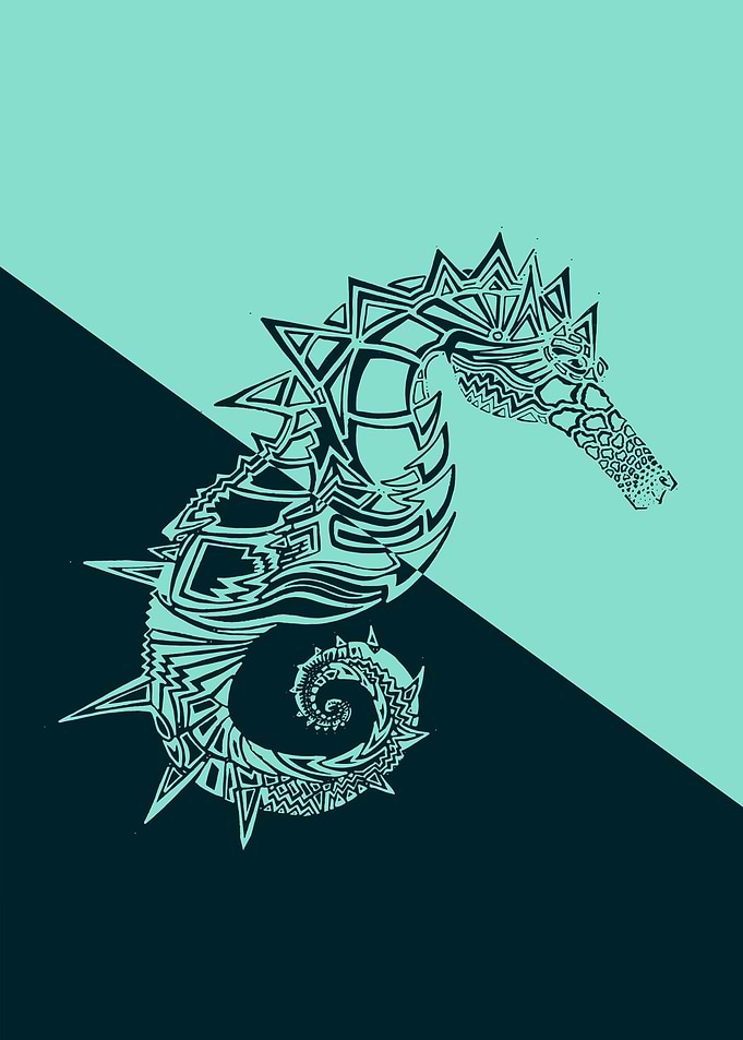 Seahorse in two colors