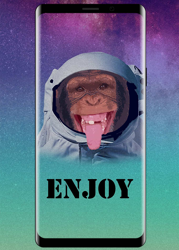 monkey