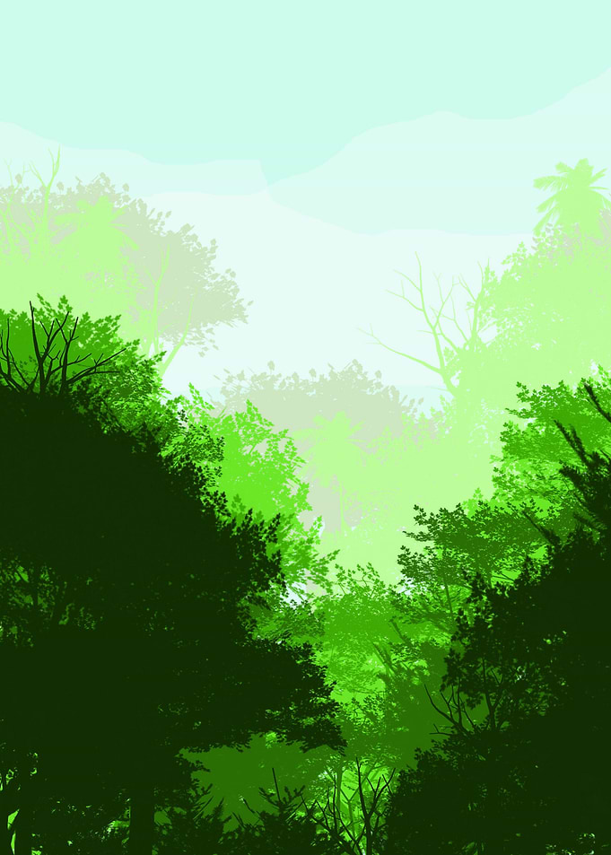 The Green Tropical Forest