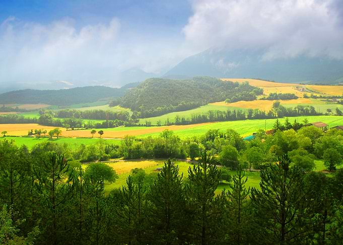 Green Farm