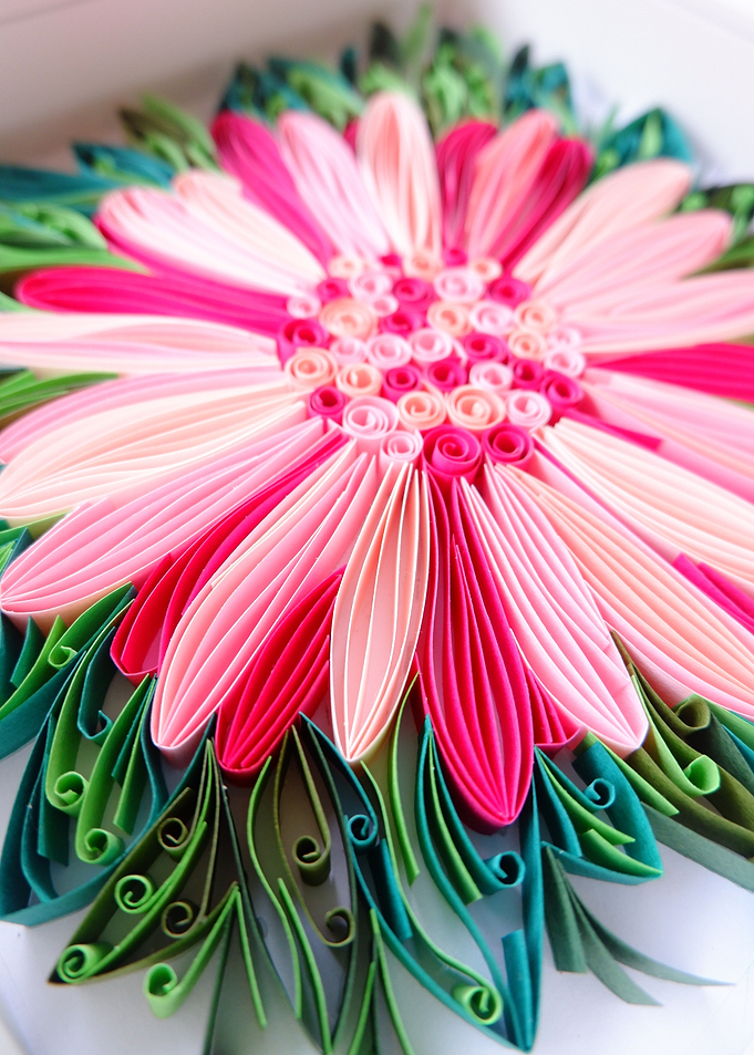 Pink Daisy