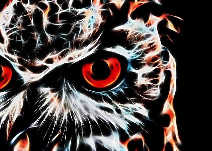 Owl - modern 2