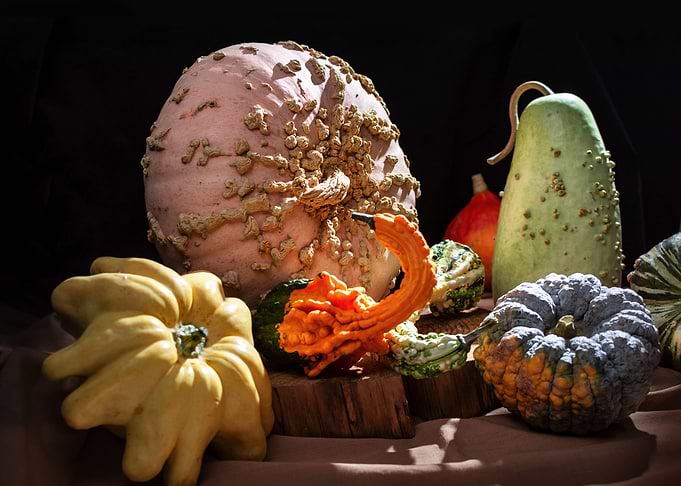 pumpkin season