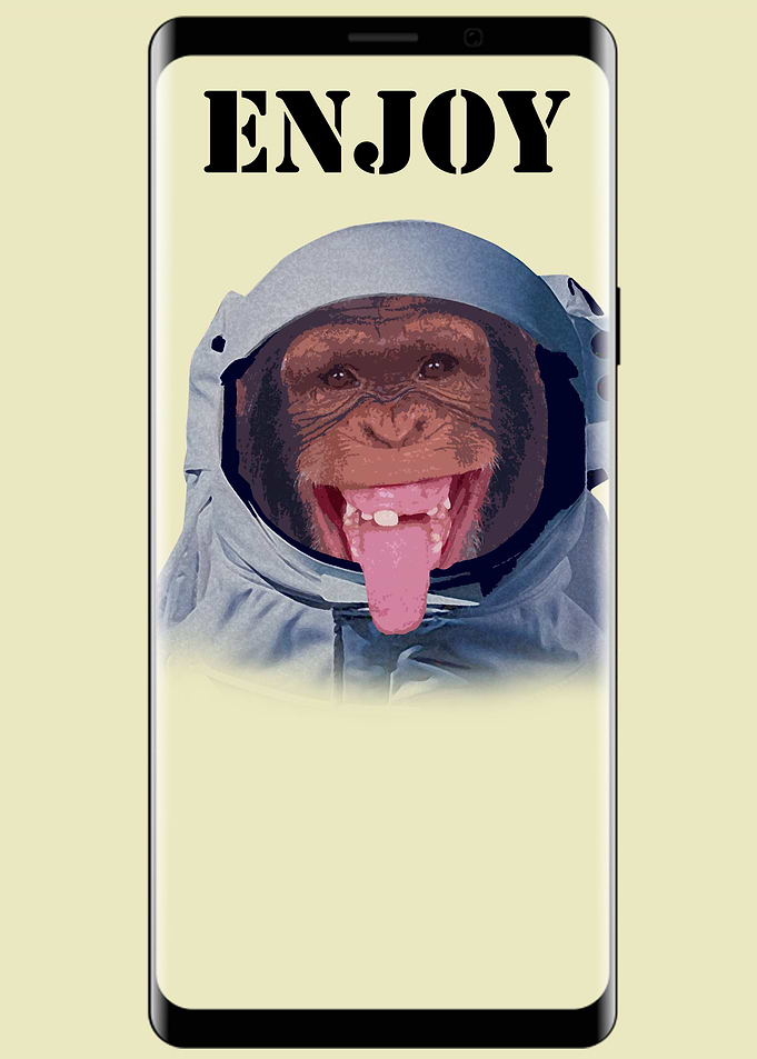monkey